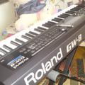 roland-gw-8- 10.jpg|Соляр Мар'ян 